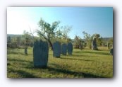 Magnetig termite mounds along Reynolds river road